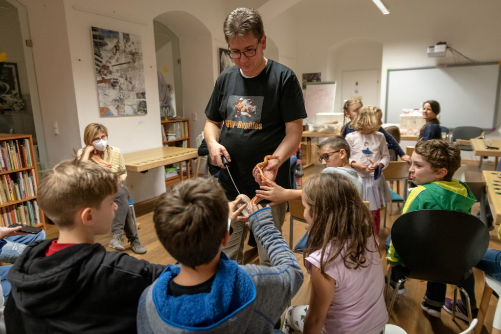Kígyóbemutató az AMAPED-ben