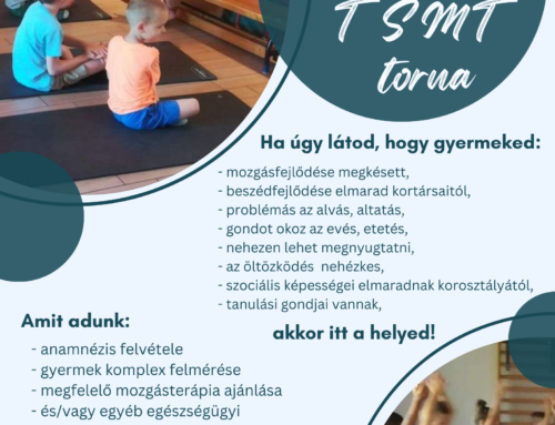 Mozgásfejlesztés, TSMT torna